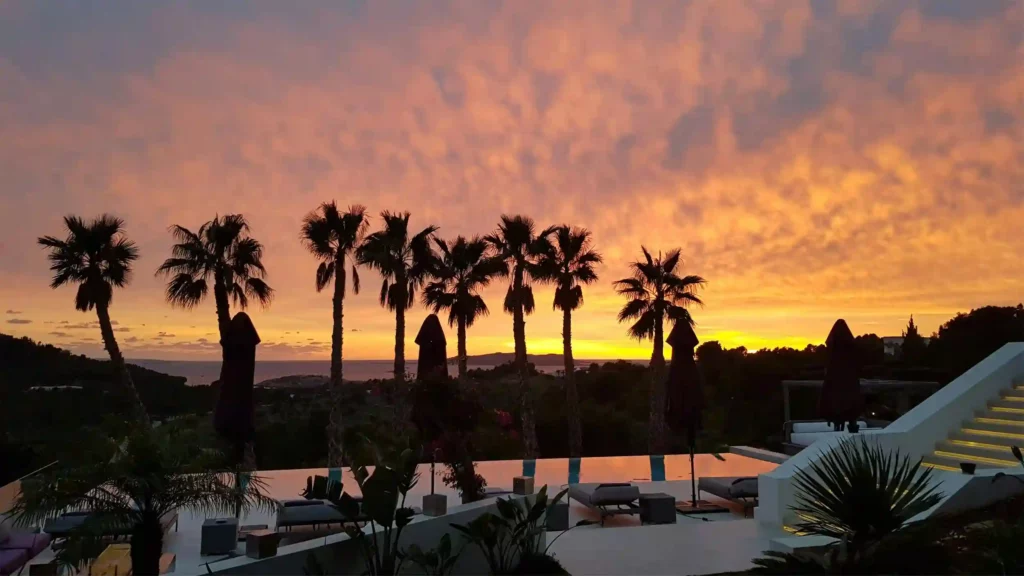 Sunset view with palm trees in Ibiza, showcasing the island’s luxury Mediterranean atmosphere.