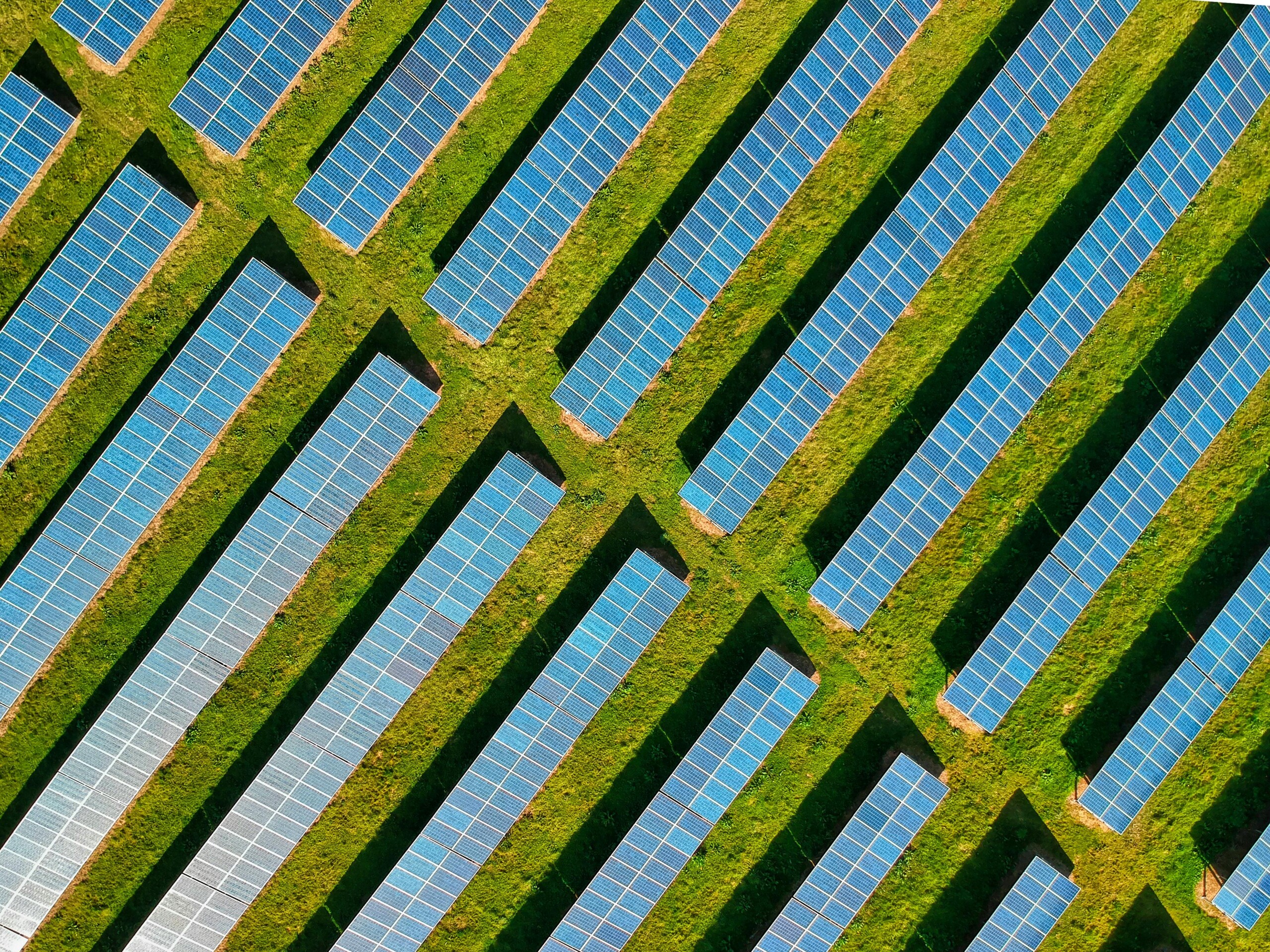 Aerial view of solar panel rows on green grass, symbolizing renewable energy and sustainable design in eco-luxury architecture.